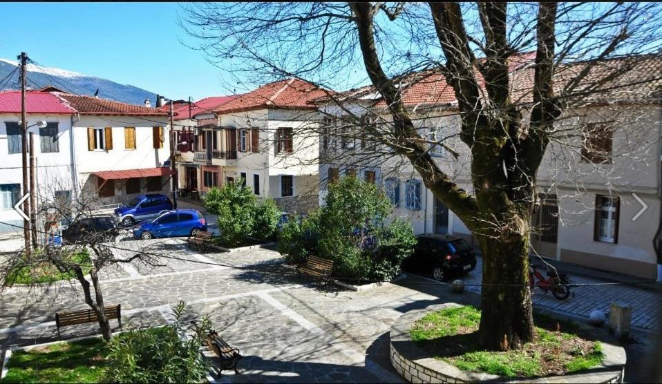 Platanos In The Castle Hotel Ioannina Exterior foto
